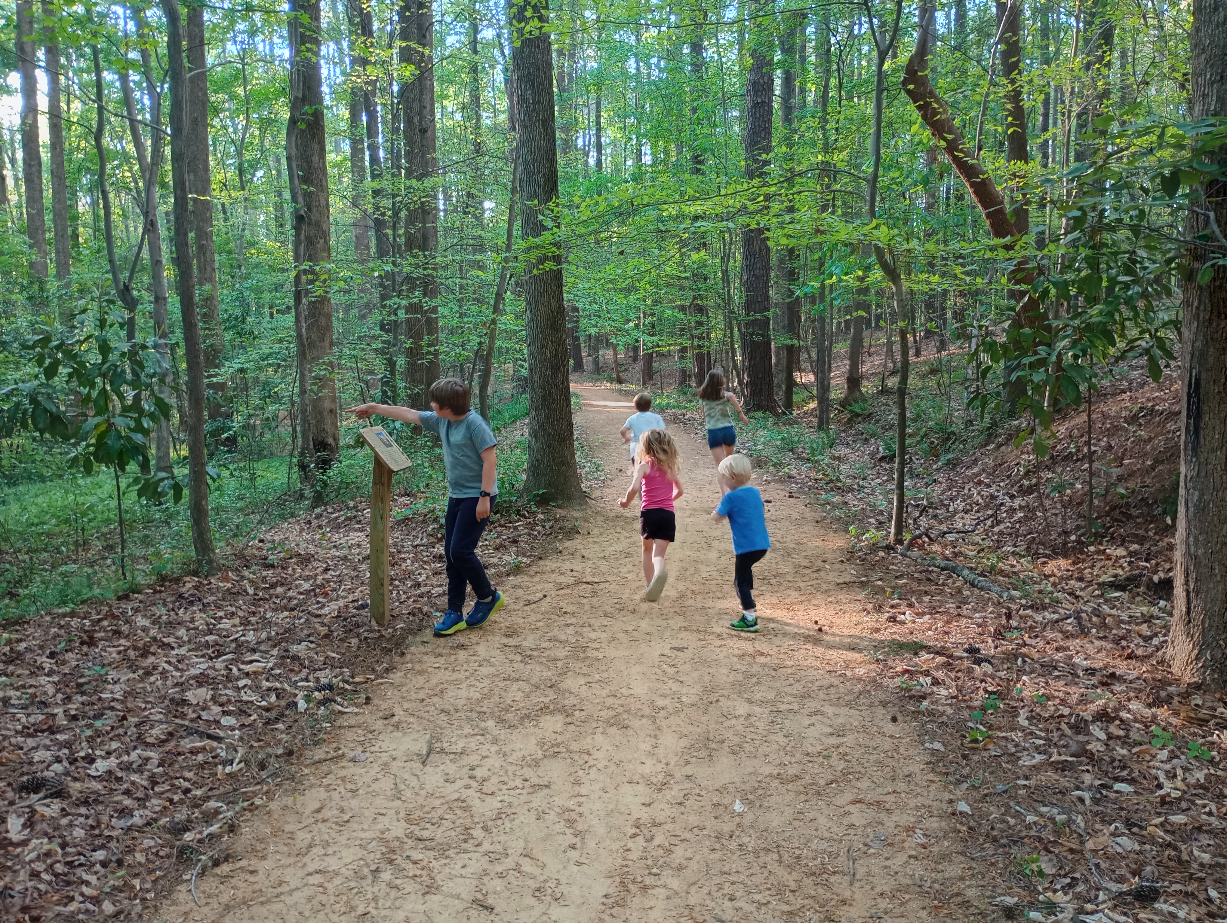 Main trail between the two loops